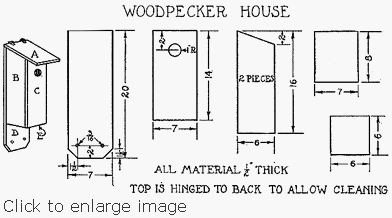 Build a Woodpecker House
