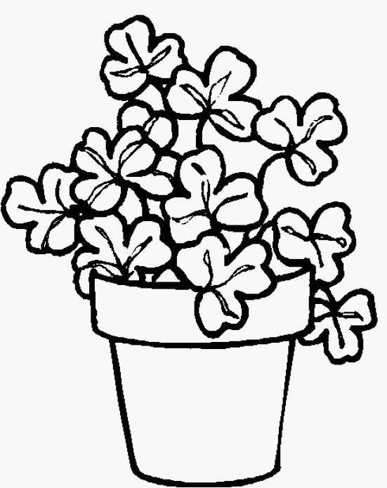 Flowers And Plants In Clay Pots Coloring Pages For Kids Flowers And Plants In Clay Pots Coloring Pages For Kids