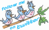 follow on twitter
