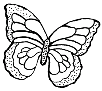 clingbutterfly