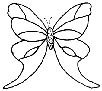 clingbutterfly3