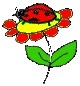 daisybug