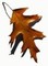 oakleaf (2K)