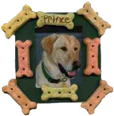 petframe (12K)
