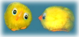 pompom chicks