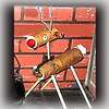 birch reindeer