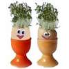 cress egg heads