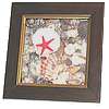 shell shadowbox