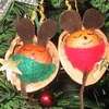 walnut mice