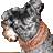 loomdog (1K)