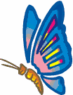 butterfly2 (3K)