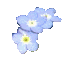 fgetsF (1K)
