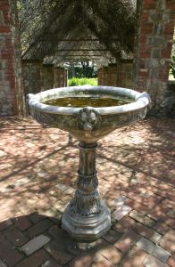 bird bath