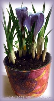 decopot (24K)