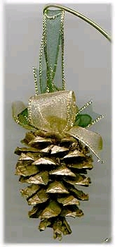 drypinecone (41K)