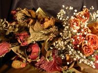 romantic dried roses