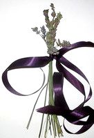 lavenderwand (15K)