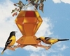 oriole-sm (9K)