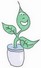 seedling (1K)