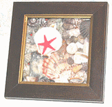 shells150 (8K)