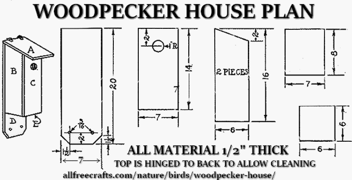 Dimensions of Woodpecker Bird House