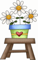 daisy pot