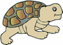 turtle (4K)