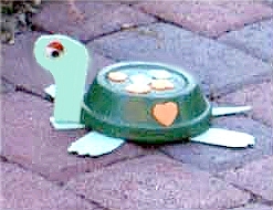 turtle critter