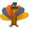rturkey100