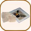 tea stain paper