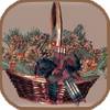 pineconebasket
