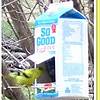 milk box bird feeder