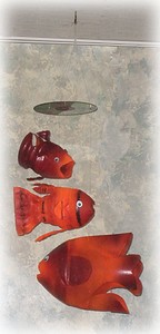 bottle fish