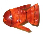 bottlefish3 (15K)