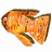 bottlefish4sm (2K)