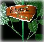 claybasil (11K)