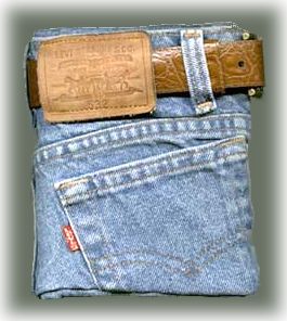 blue jean journal