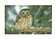owl-sm (1K)