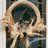 fallwreath48 (1K)