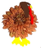 turkeypin (11K)