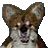 teddywolfsm (1K)