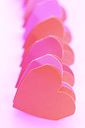 fhgarland (2K)