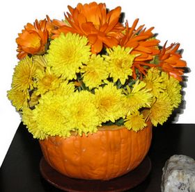 fall flowers in pumpkin