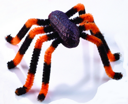 peanut spider closeup