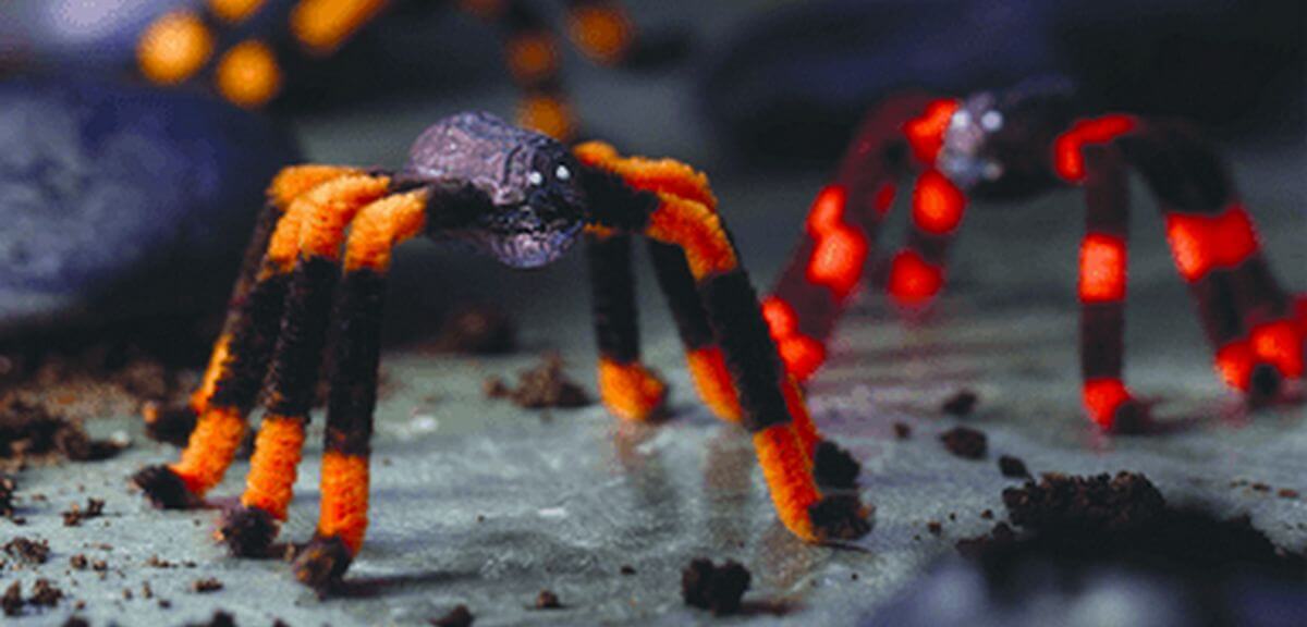 peanut and pipe cleaner spiders