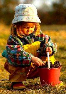 girl collecting pine cones