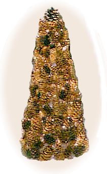 pine cone tree