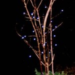 painted branches with Christmas lights