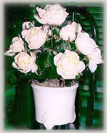 pot of blooming silk roses