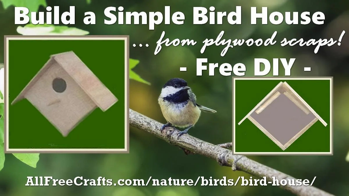 build a bird house from plywood scraps